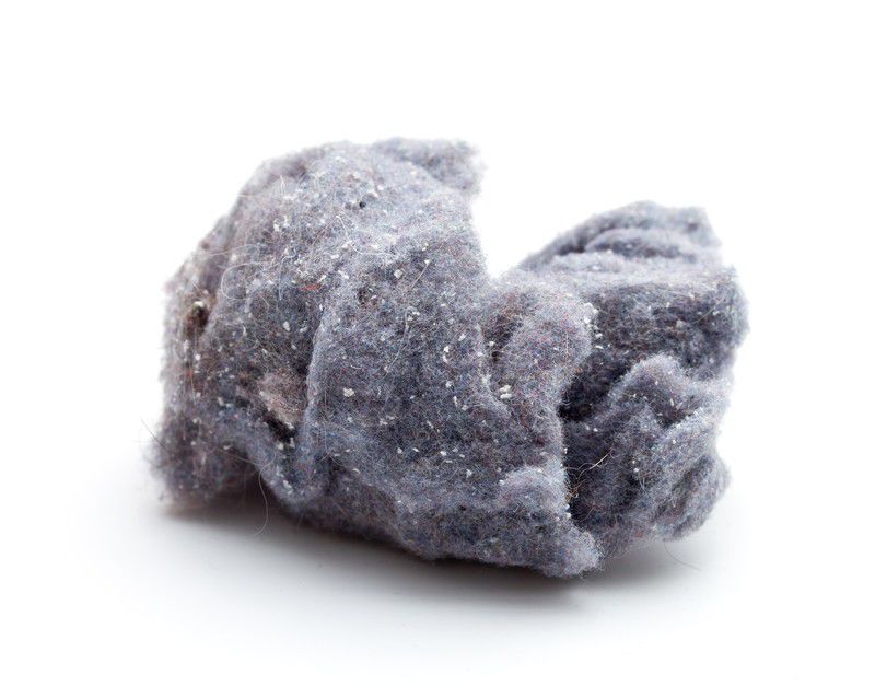 Image result for lint image